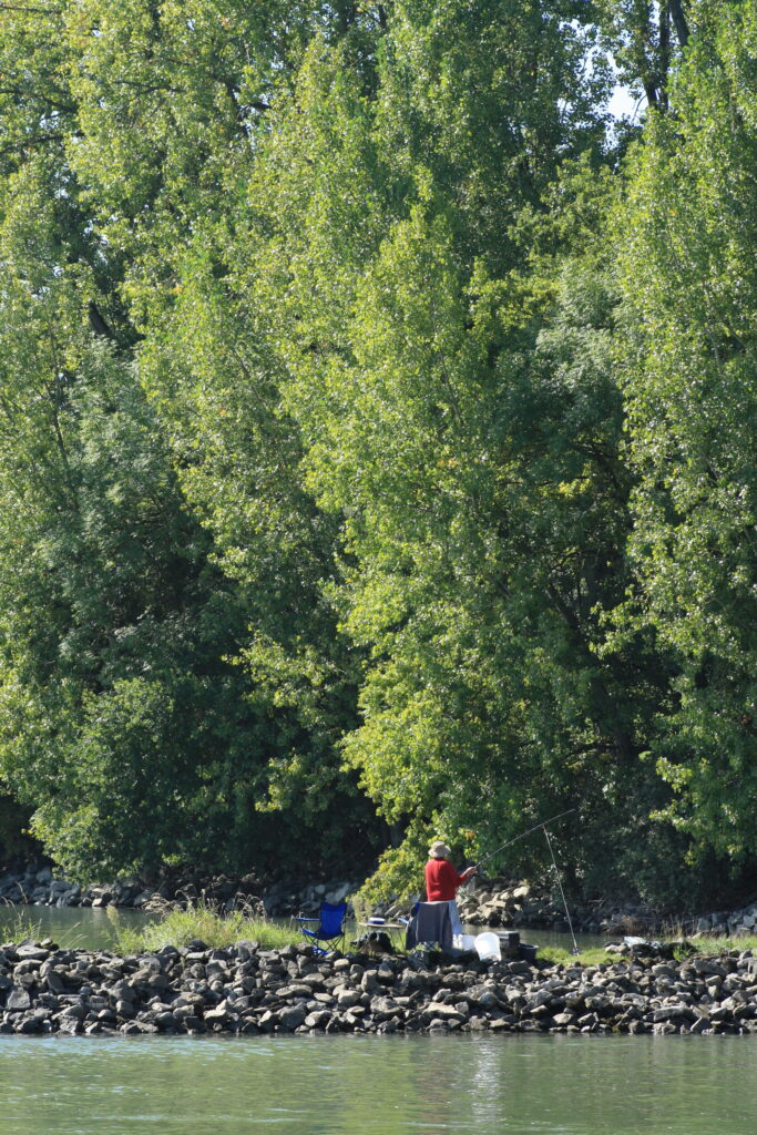 Angler am Rhein